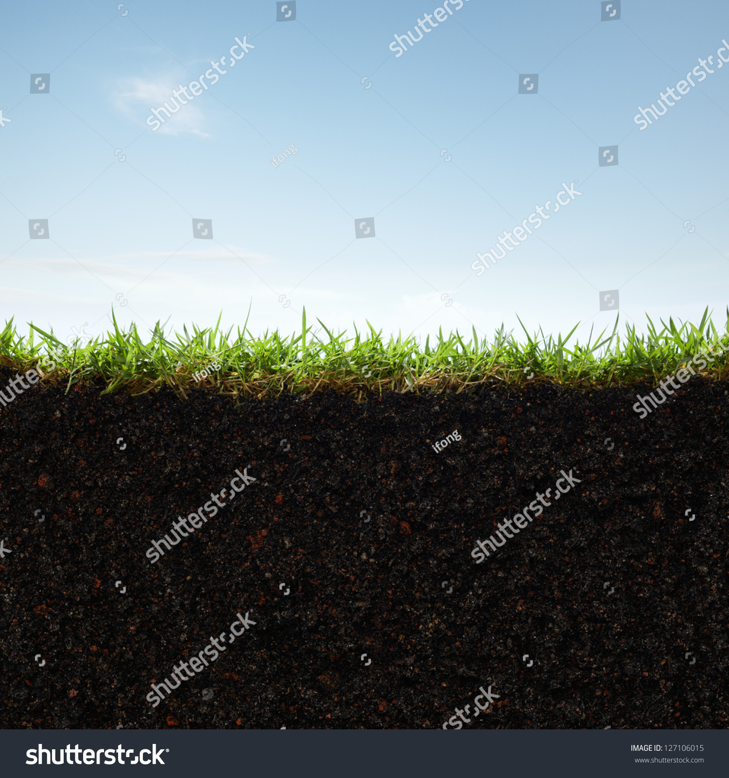 Cross Section Grass Soil Against Blue Stock Photo 127106015 Shutterstock