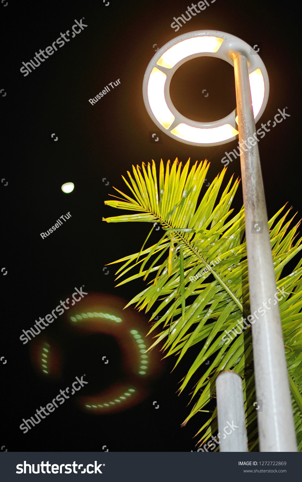 Street Led Lantern Lighting Palm Tree Stock Photo 1272722869 | Shutterstock