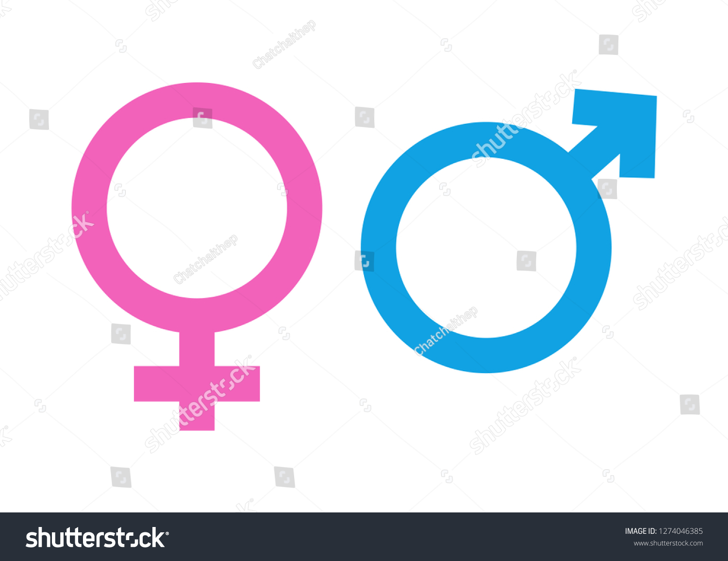 Male Female Gender Symbols Vector Illustration Stock Vector (Royalty ...