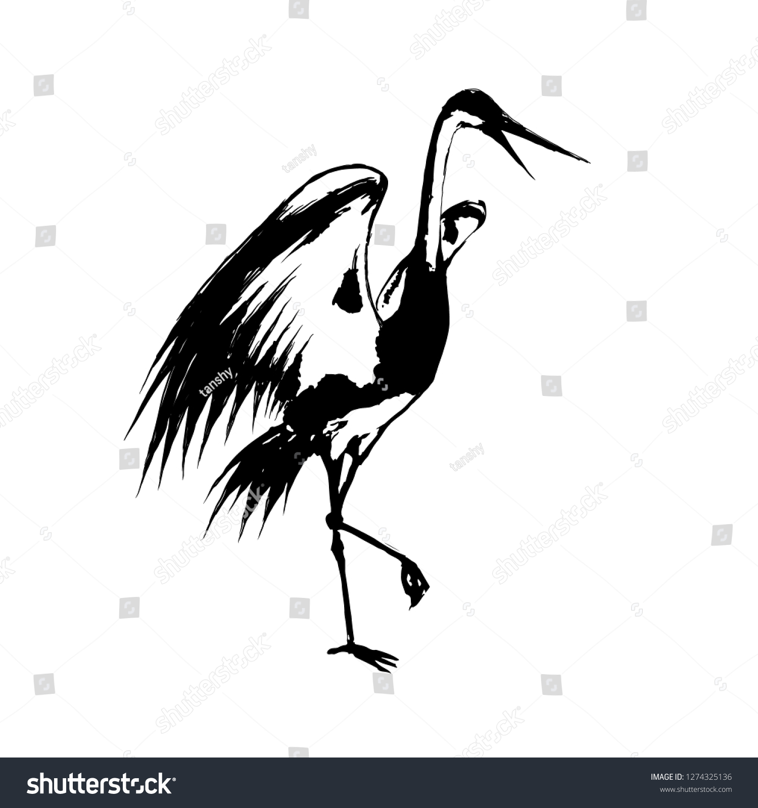 Crane Vector Drawing Flapping Wings Stock Vector (Royalty Free ...