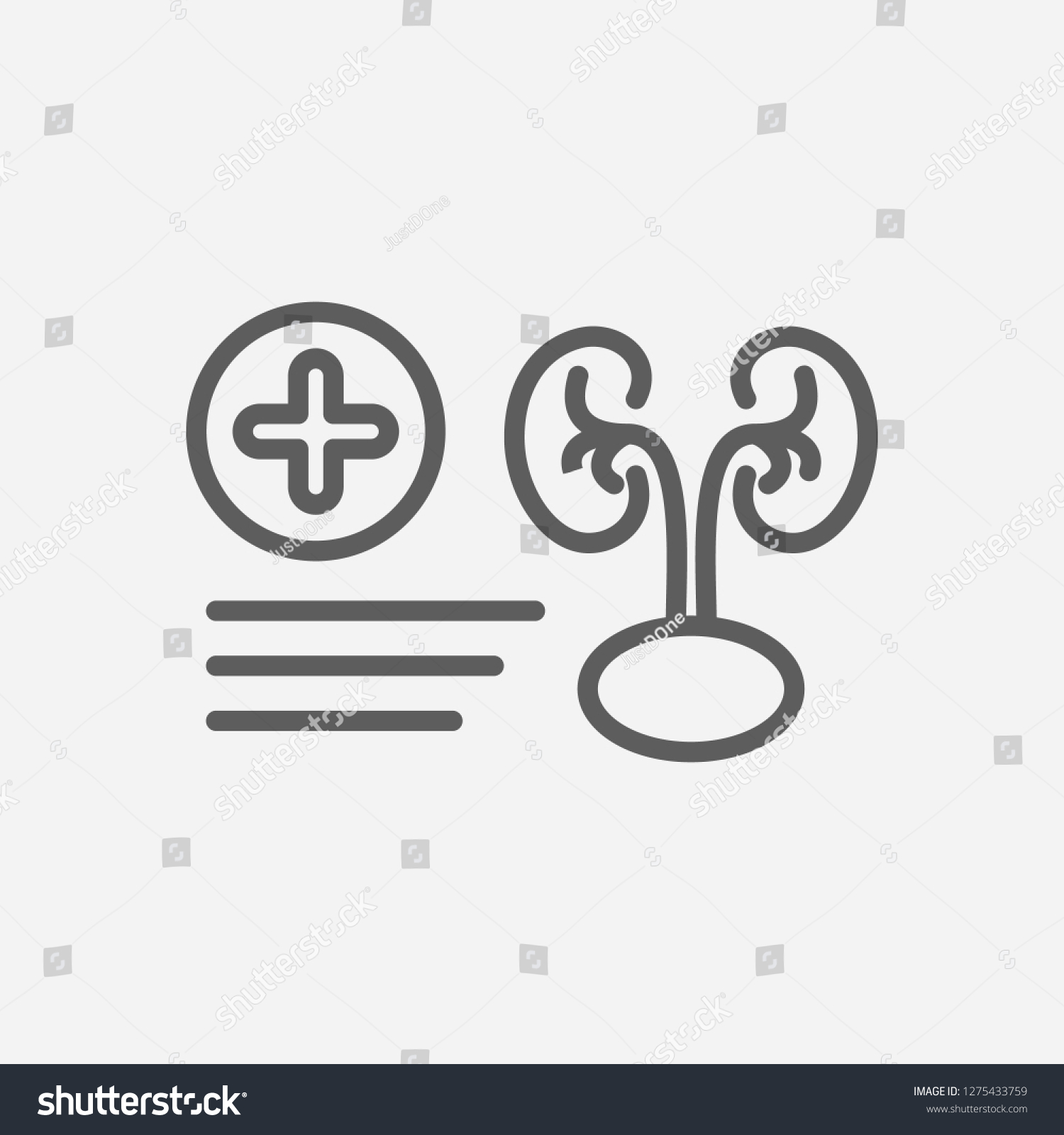 Nephrology Icon Line Symbol Isolated Vector Stock Vector (Royalty Free ...