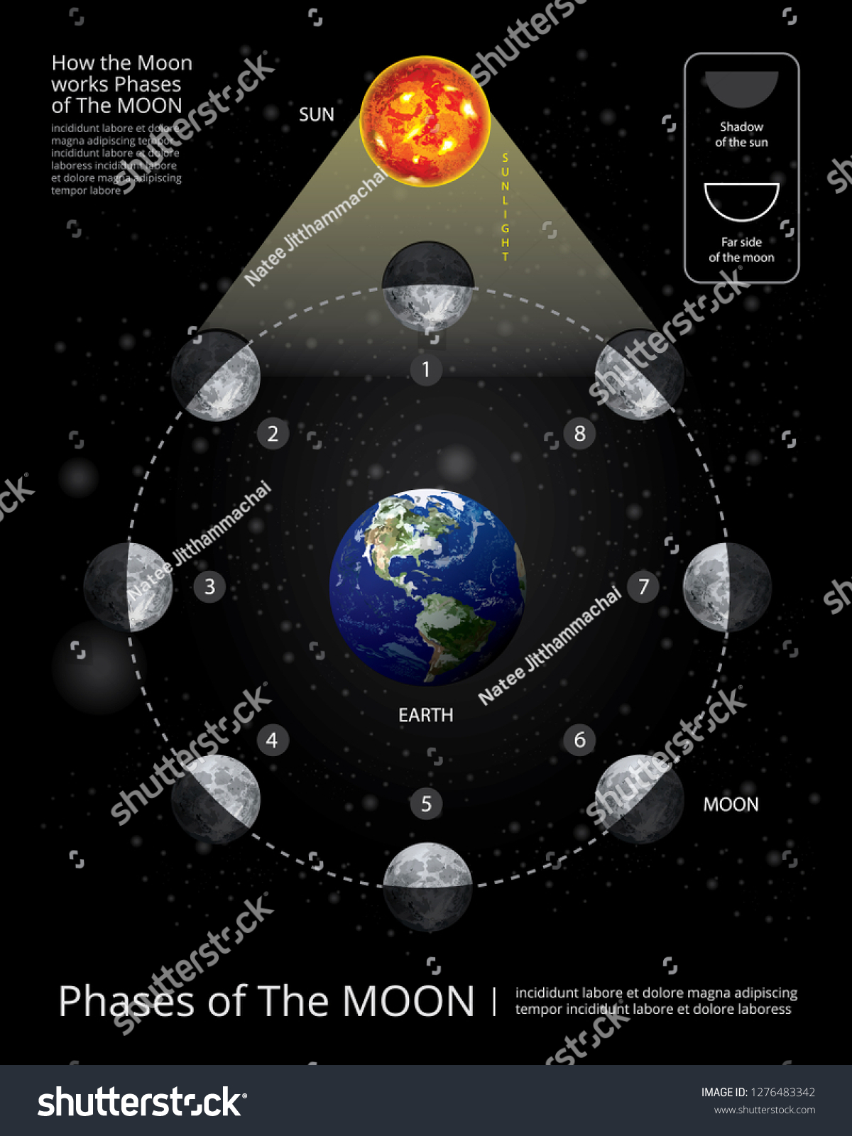 Movements Moon Phases Realistic Vector Illustration Stock Vector ...