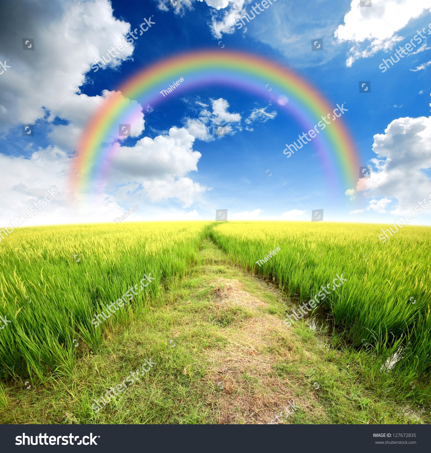 natural rainbow background