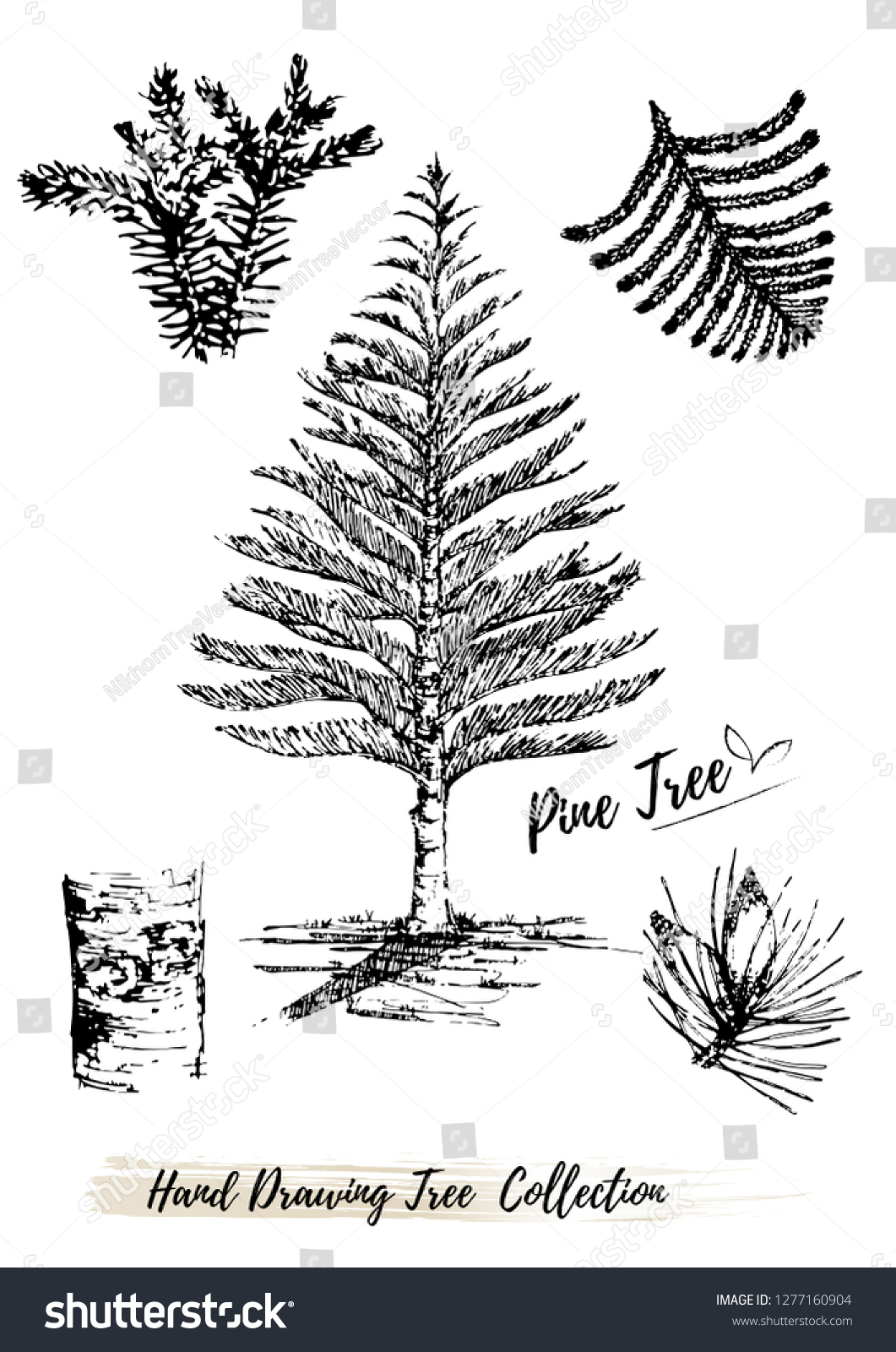 Tree Silhouettes On White Background Handdrawn Stock Vector (Royalty ...