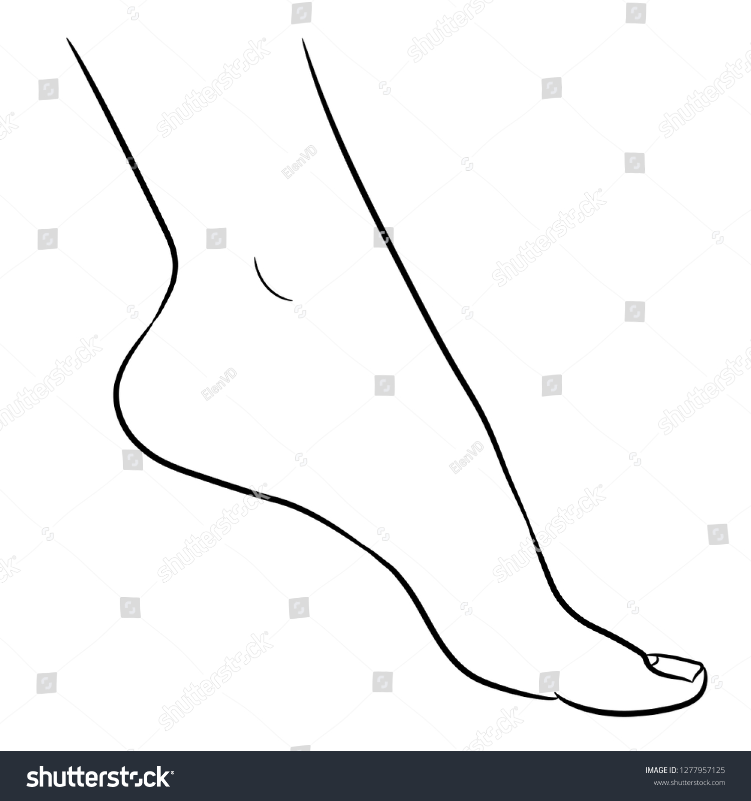 Foot Female Contour Black Brush Lines Stock Vector Royalty Free