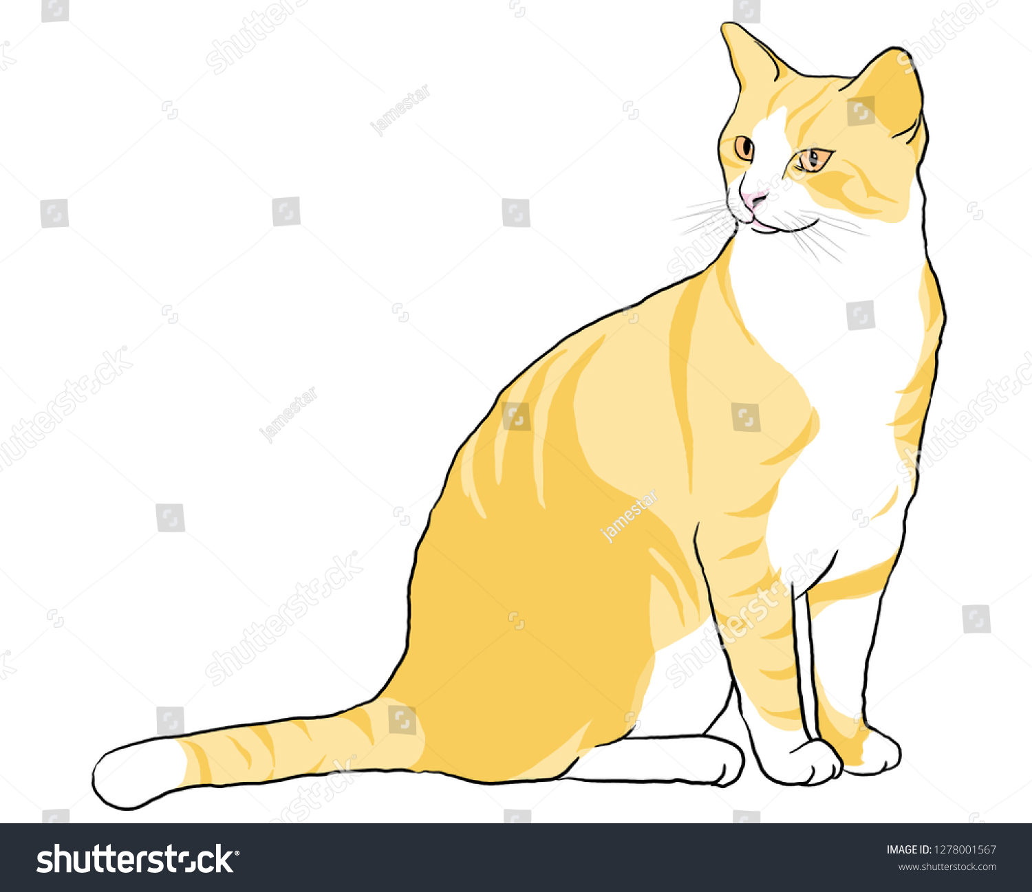 domestic cats with tiger stripes clipart