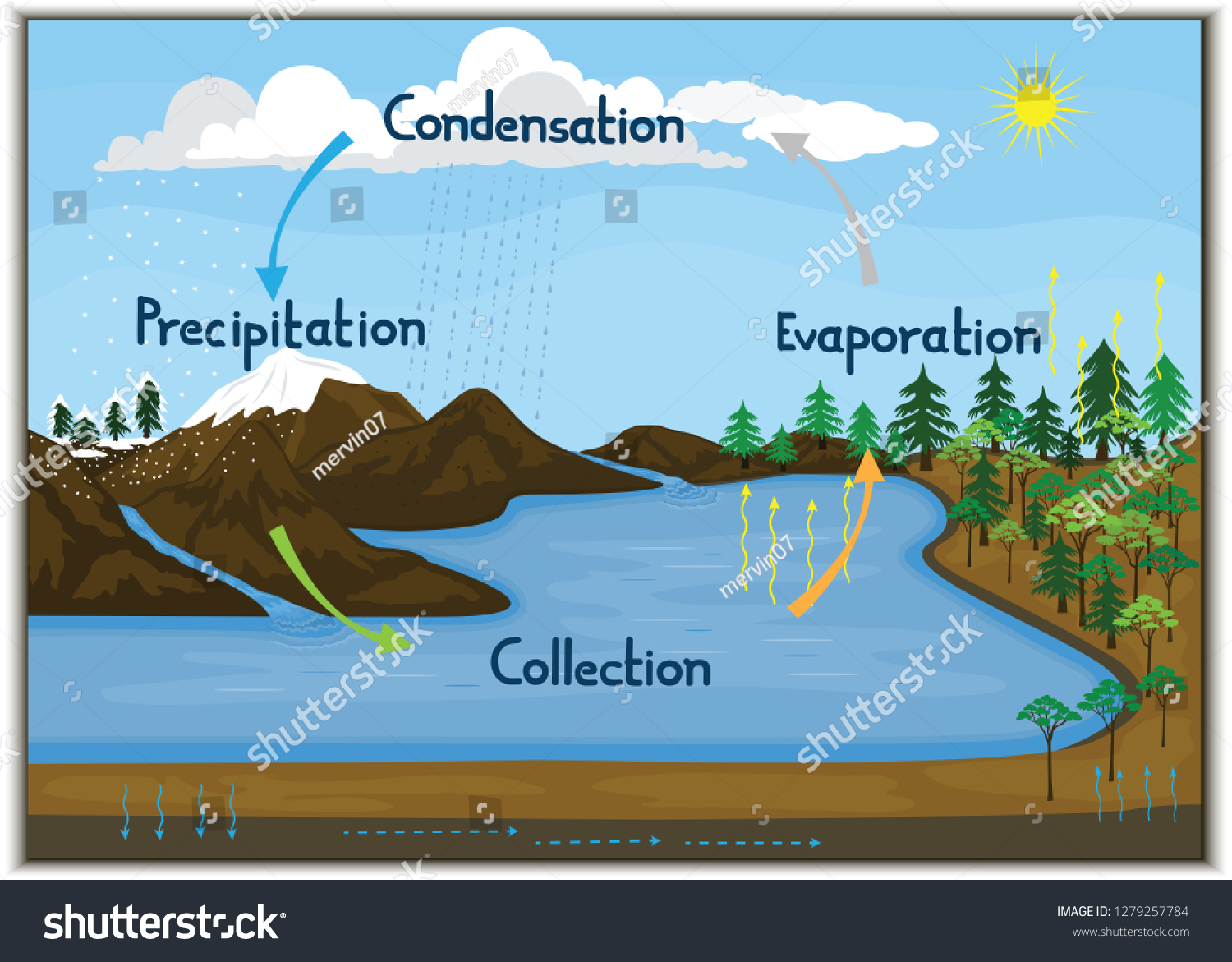 Vector Illustration Depicting Phenomenon Water Cycle Stock Vector 