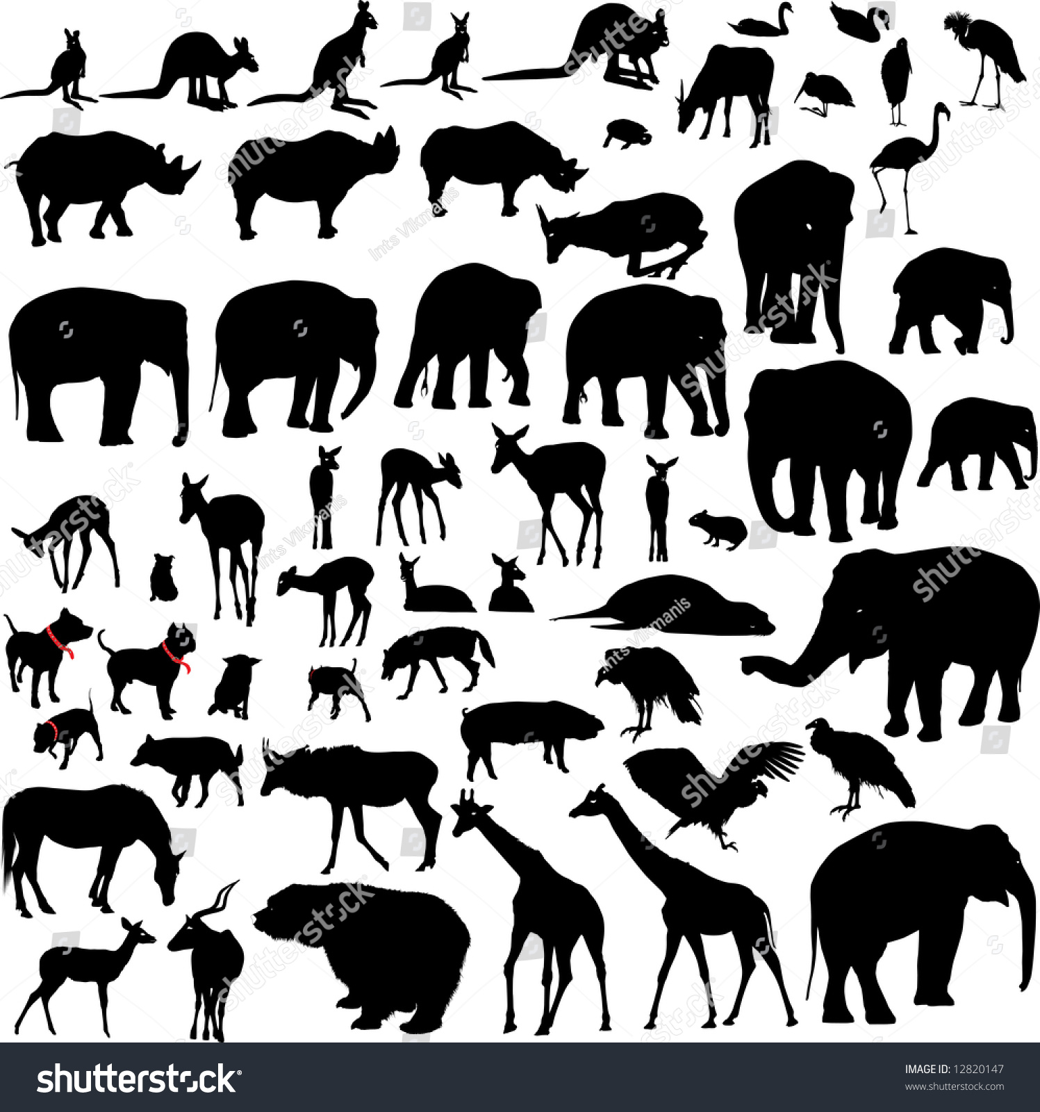 Lots Animal Vector Silhouettes Stock Vector (Royalty Free) 12820147 ...