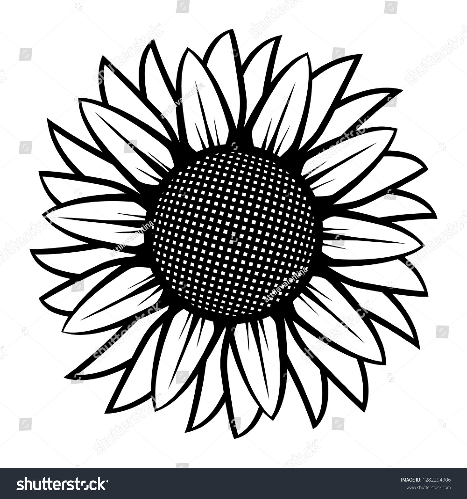Sunflower Illustration Black White On Isolated Stock Vector (Royalty Free) ...