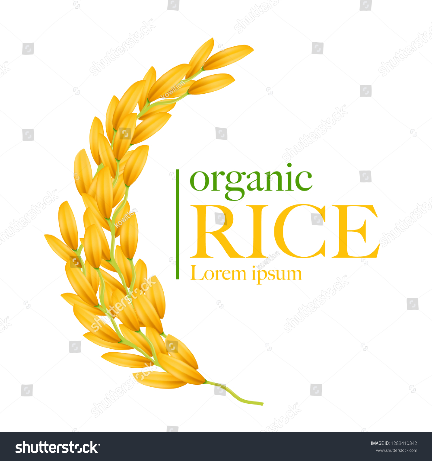 Rice Realistic Vector Illustration Stock Vector (Royalty Free