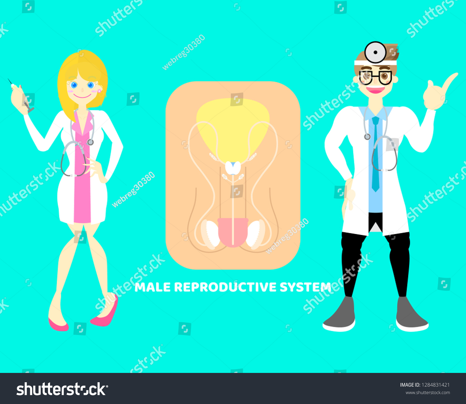 Male Female Doctor Male Reproductive System Stock Vector Royalty Free 1284831421 Shutterstock 2283