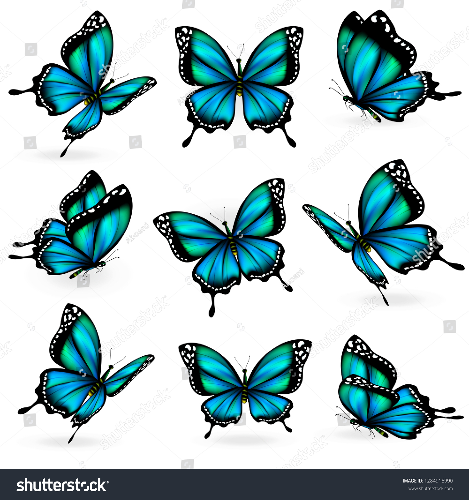 Beautiful Blue Butterflies Isolated On White Stock Illustration ...