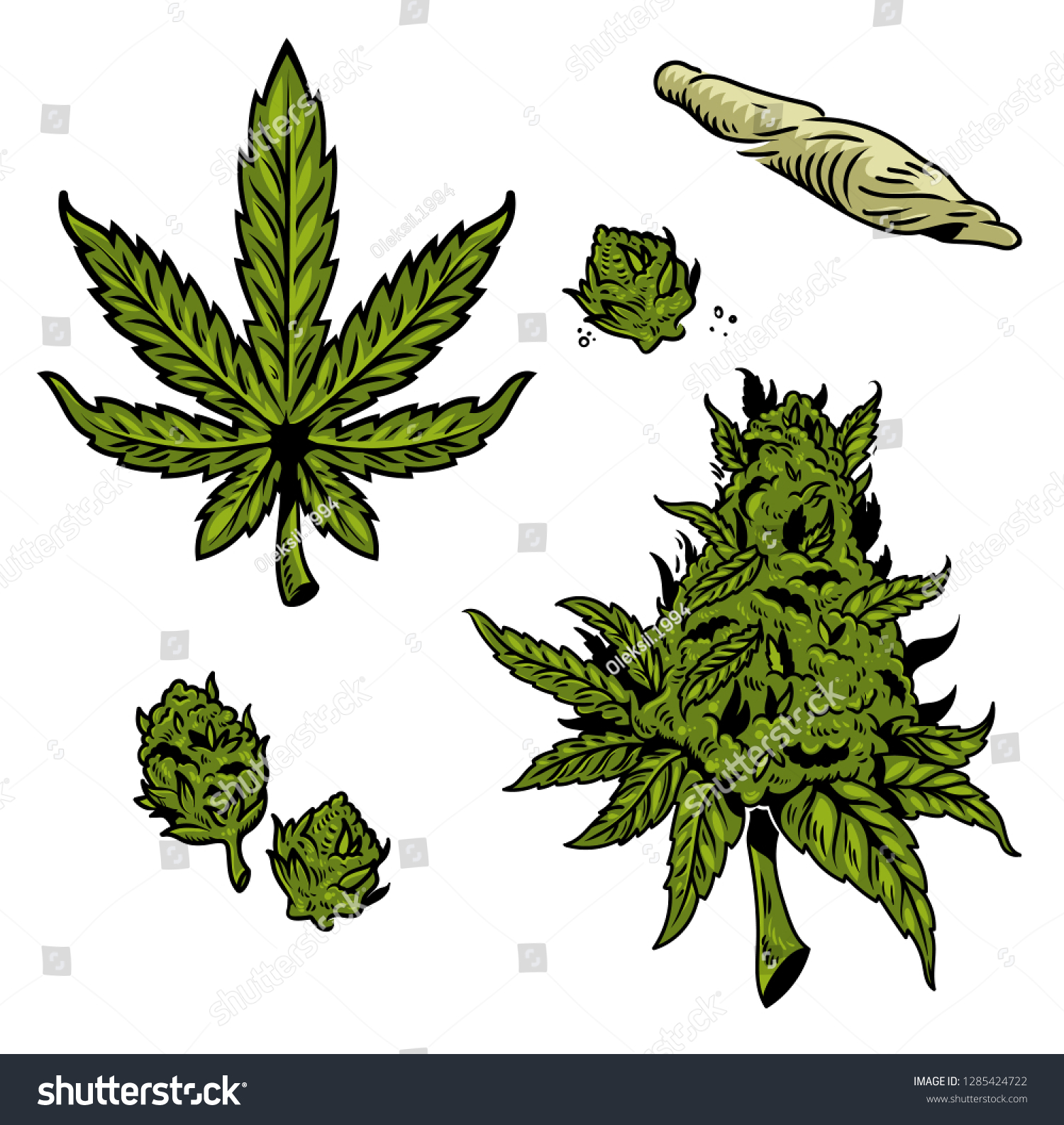 Cannabis Graphic Set Vintage Drawing Marihuana Stock Vector (Royalty ...