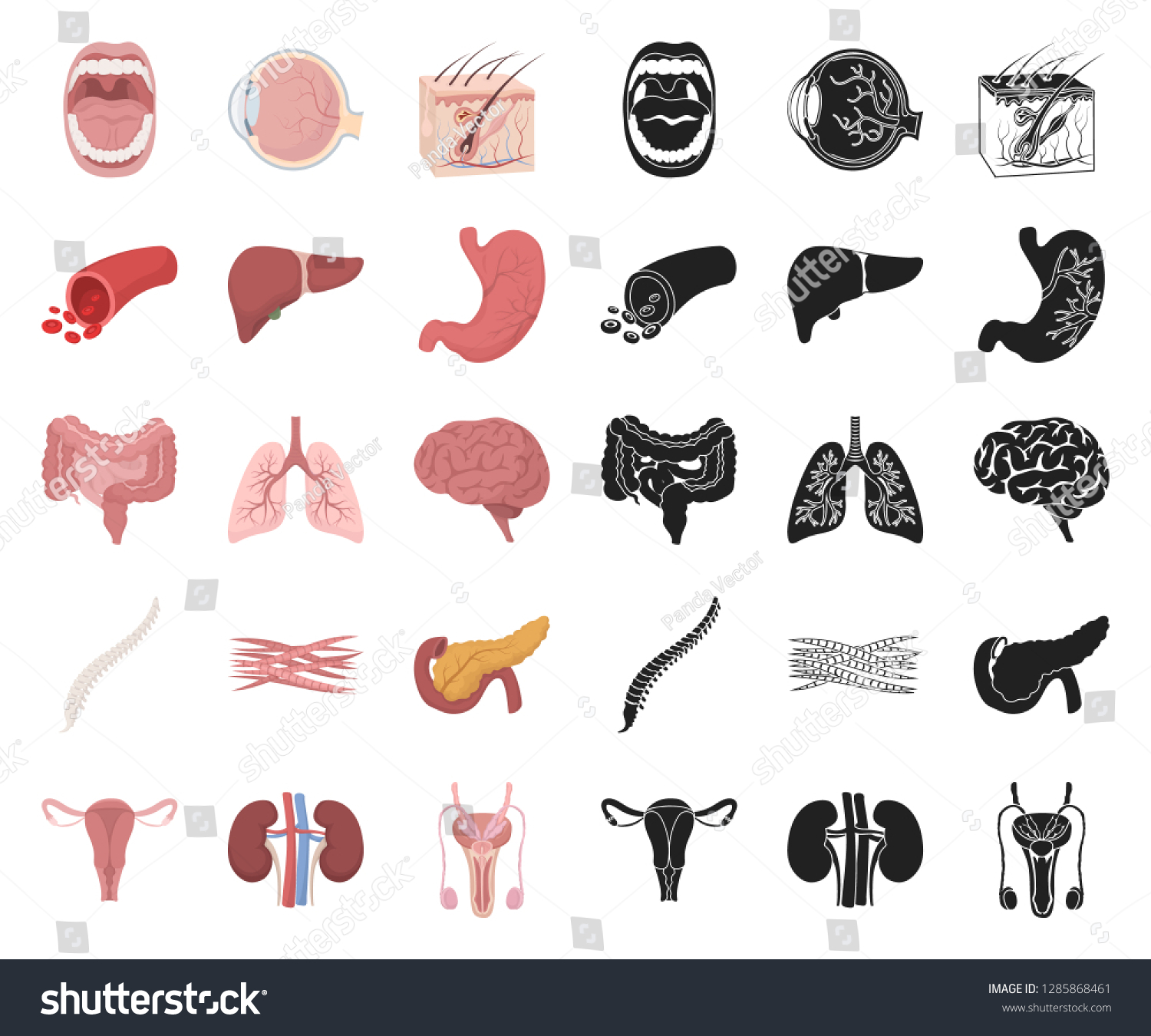 Internal Organs Human Cartoonblack Icons Set Stock Vector Royalty Free 1285868461 Shutterstock 7769