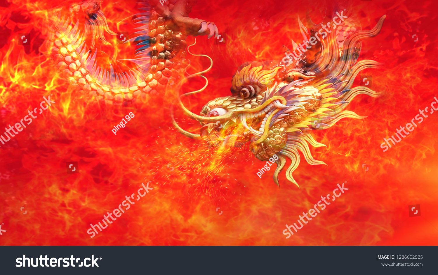 fire dragon wallpaper chinese