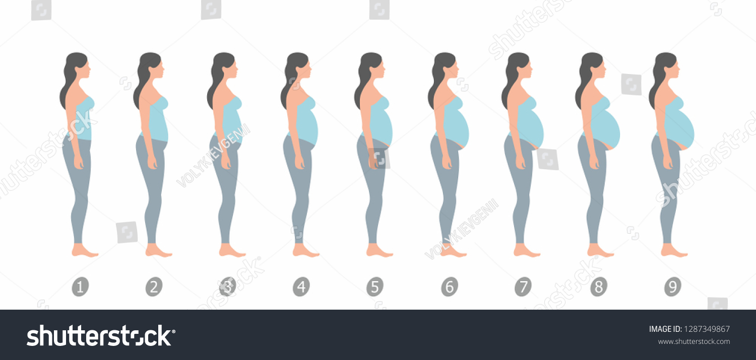 Stages Changes Womans Body Pregnancy On Stock Illustration 1287349867 