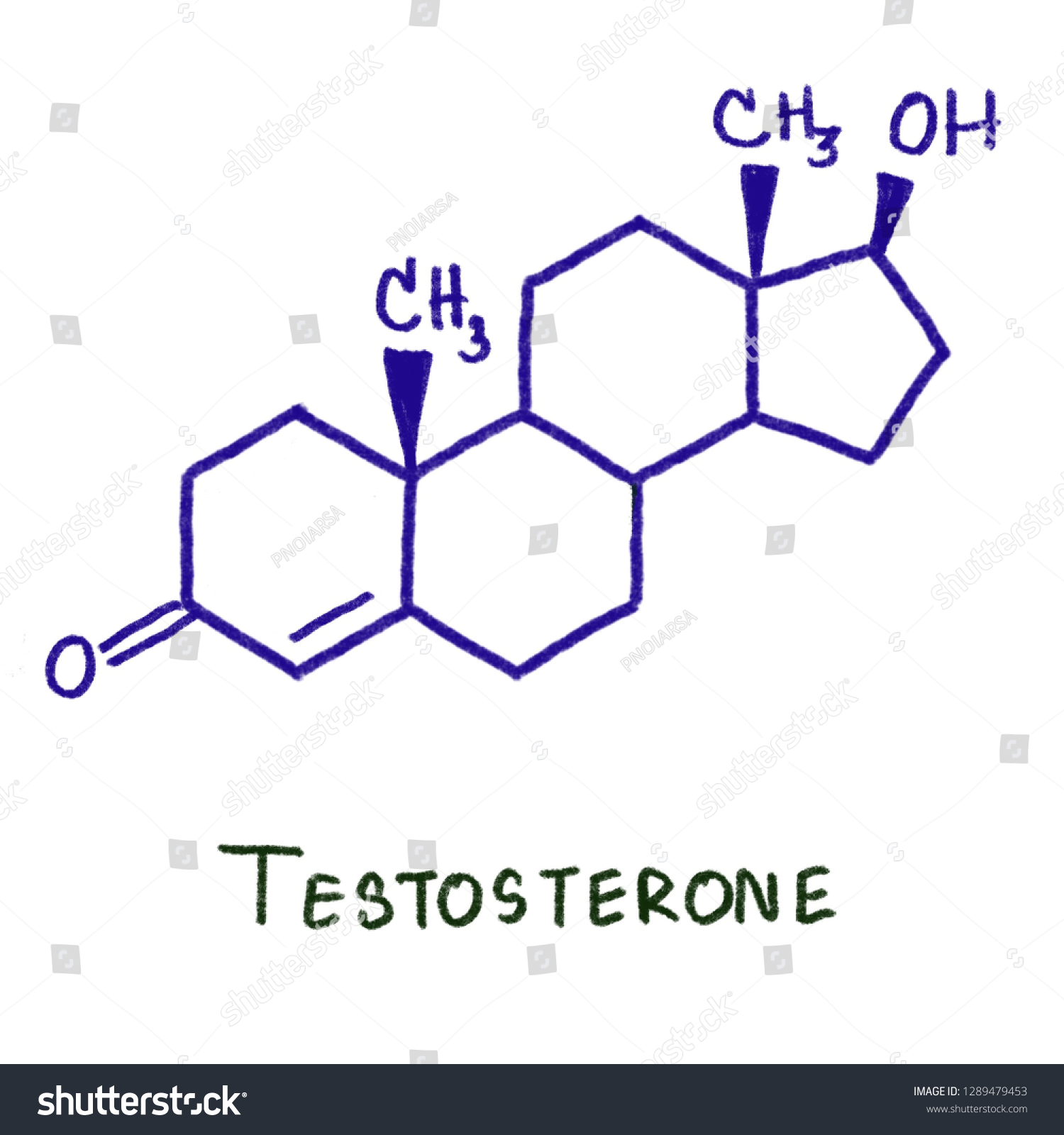 Testosterone Primary Male Sex Hormone Anabolic Stock Illustration 1289479453 Shutterstock 