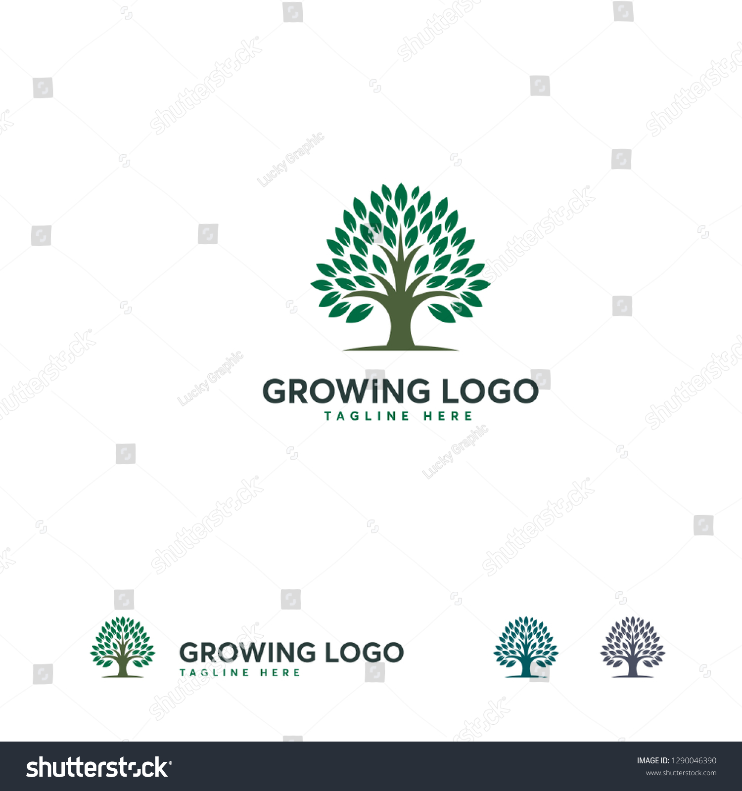 Growing Logo Designs Template Nature Oak Stock Vector (Royalty Free ...