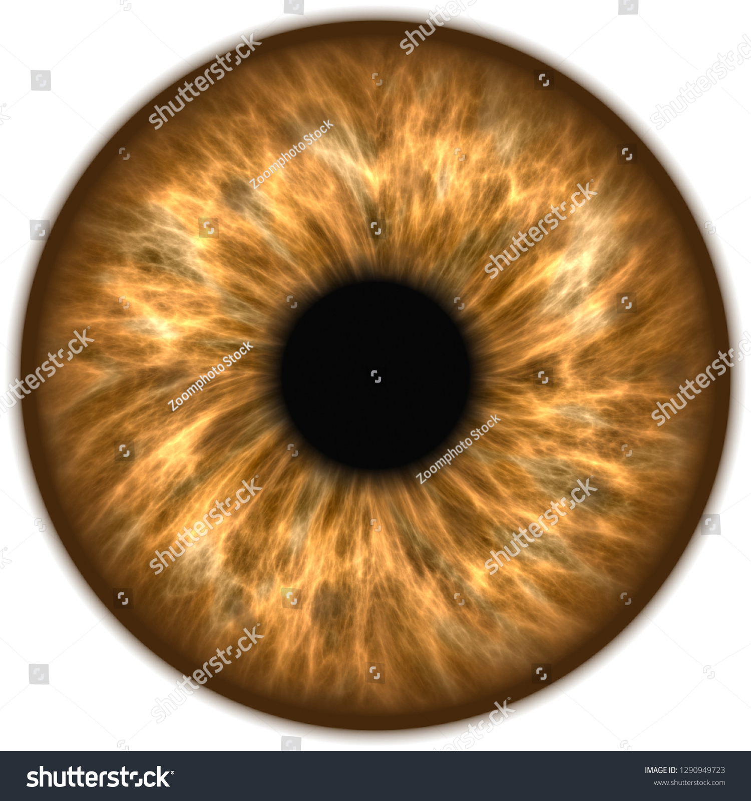 Brown Eye Pupil Iris Stock Illustration 1290949723 | Shutterstock