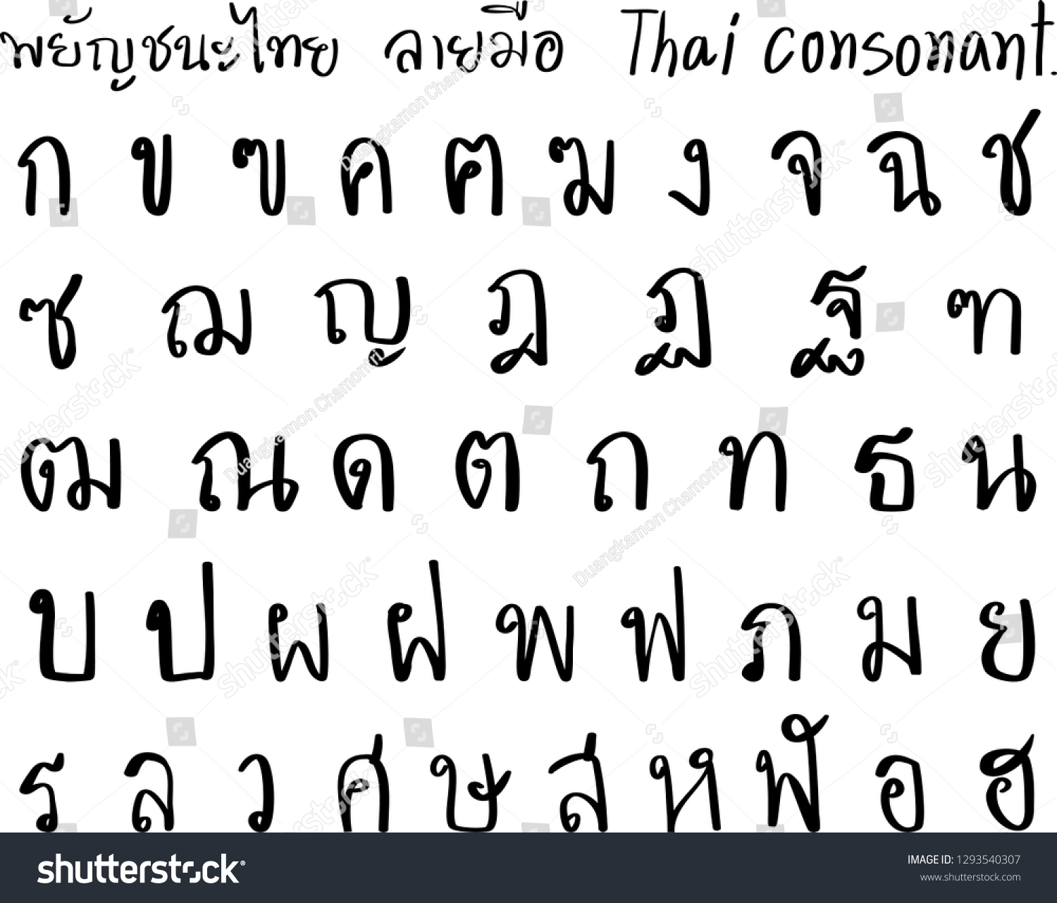 Thai Hand Drawn Consonantsthai Characters Stock Vector (Royalty Free ...