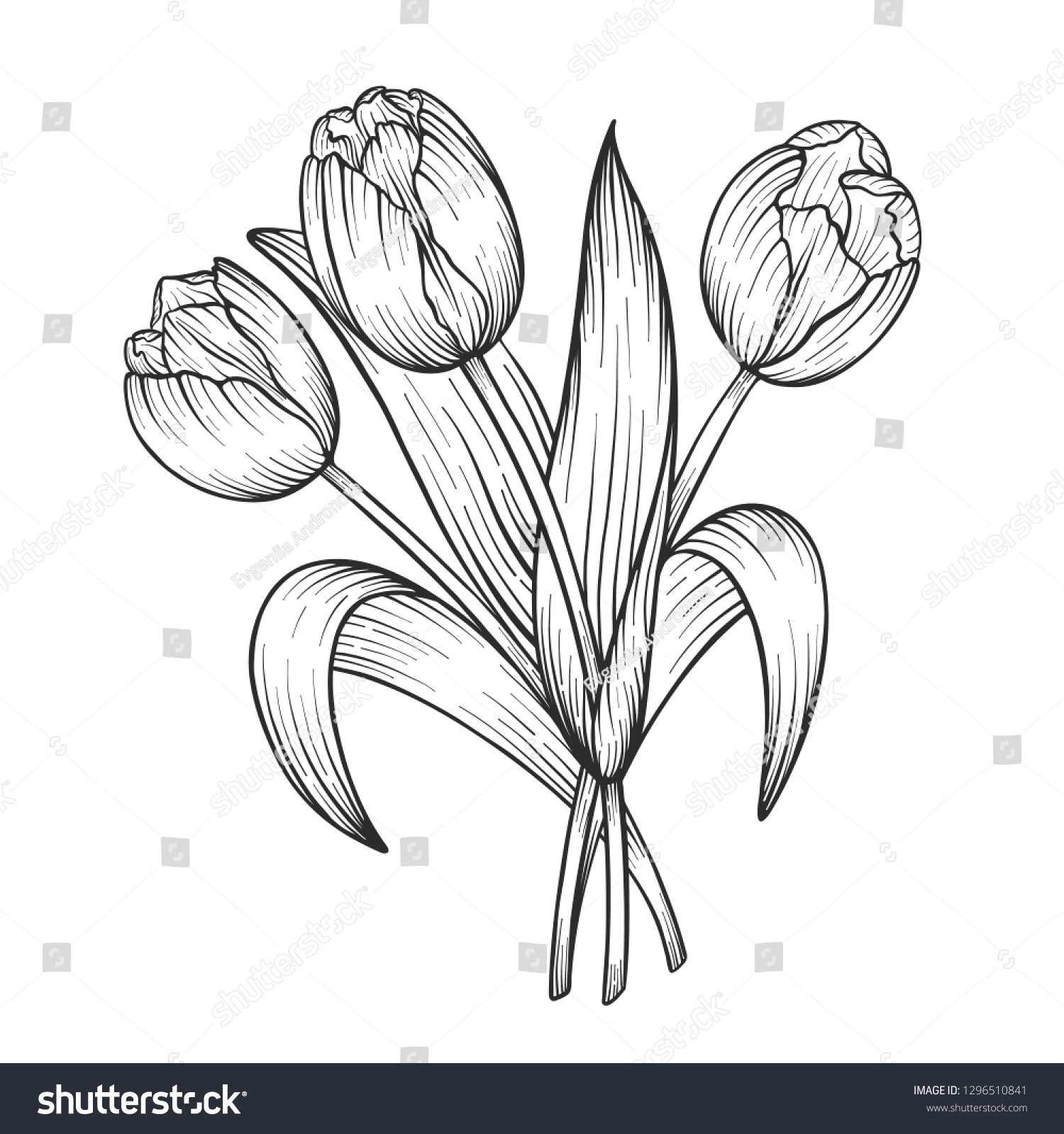 Hand Drawn Sketch Tulips Flower Bouquet Stock Vector (Royalty Free ...
