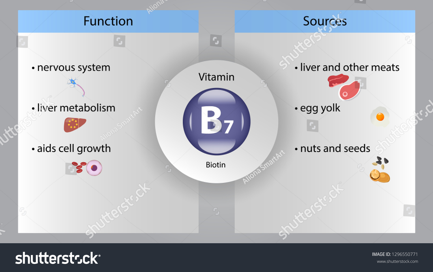 Vitamin B7 Vector Design Vitamin B7 Stock Vector (Royalty Free ...