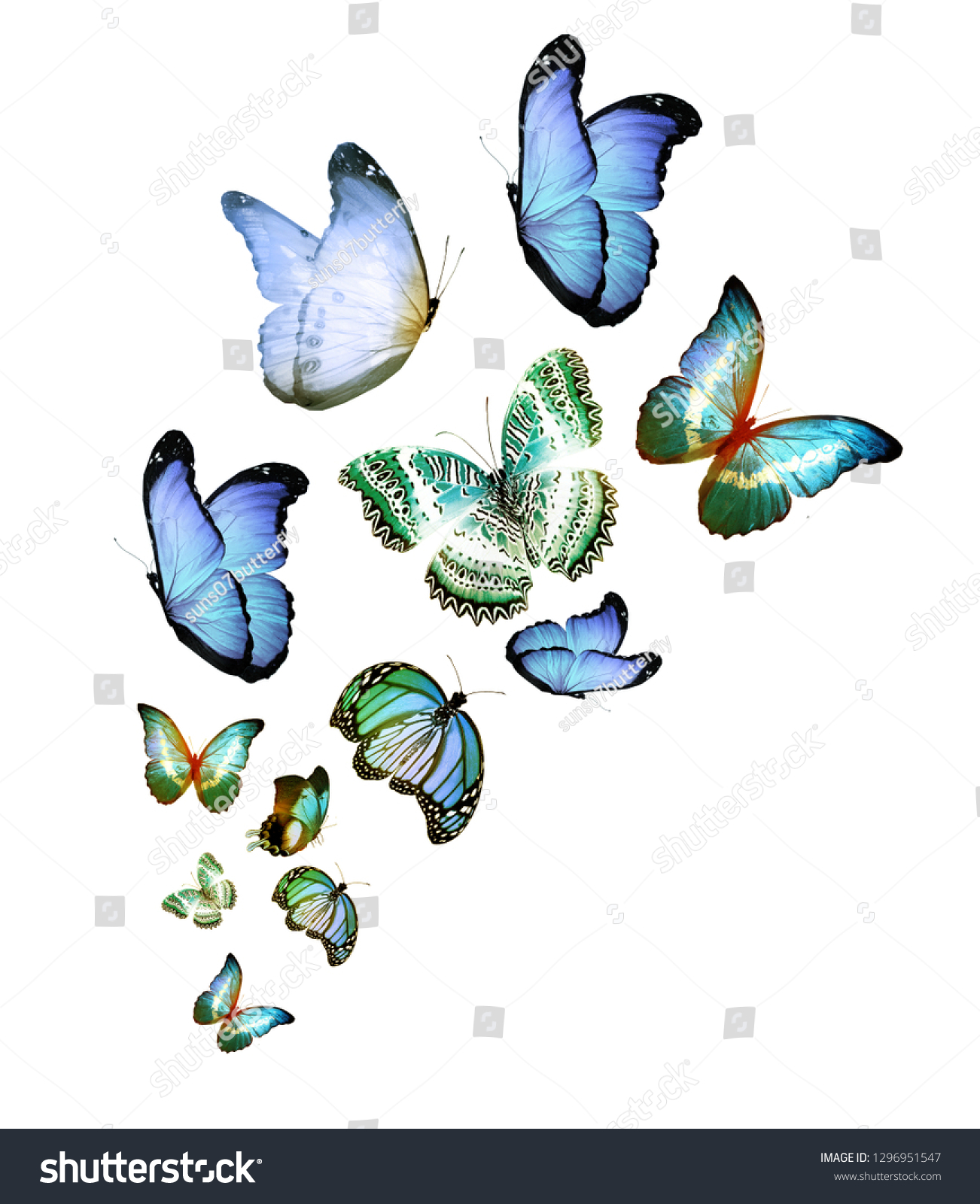 Flock Butterflies On White Stock Illustration 1296951547 | Shutterstock