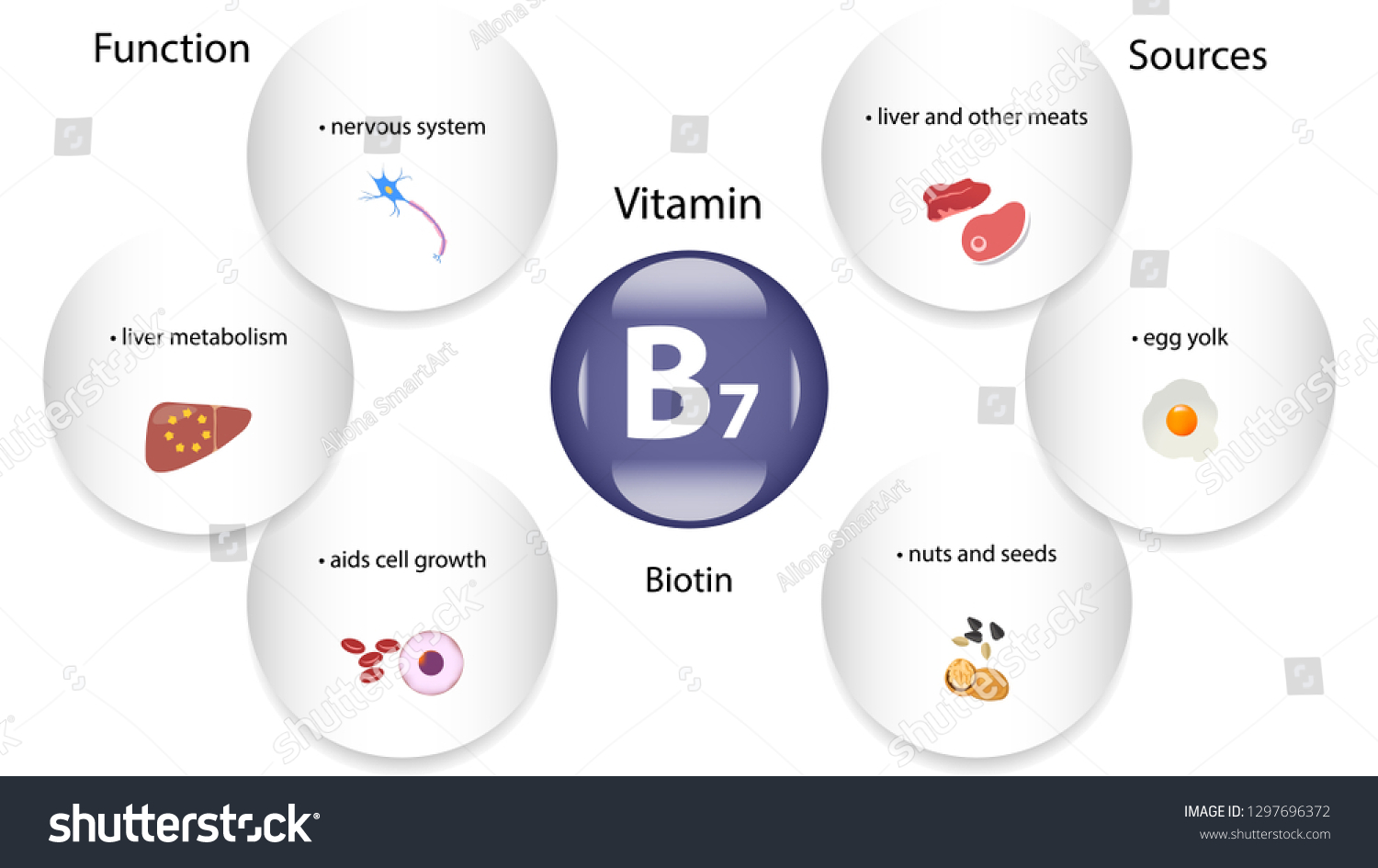 Vitamin B7 Vector Design Vitamin B7 Stock Vector (Royalty Free ...