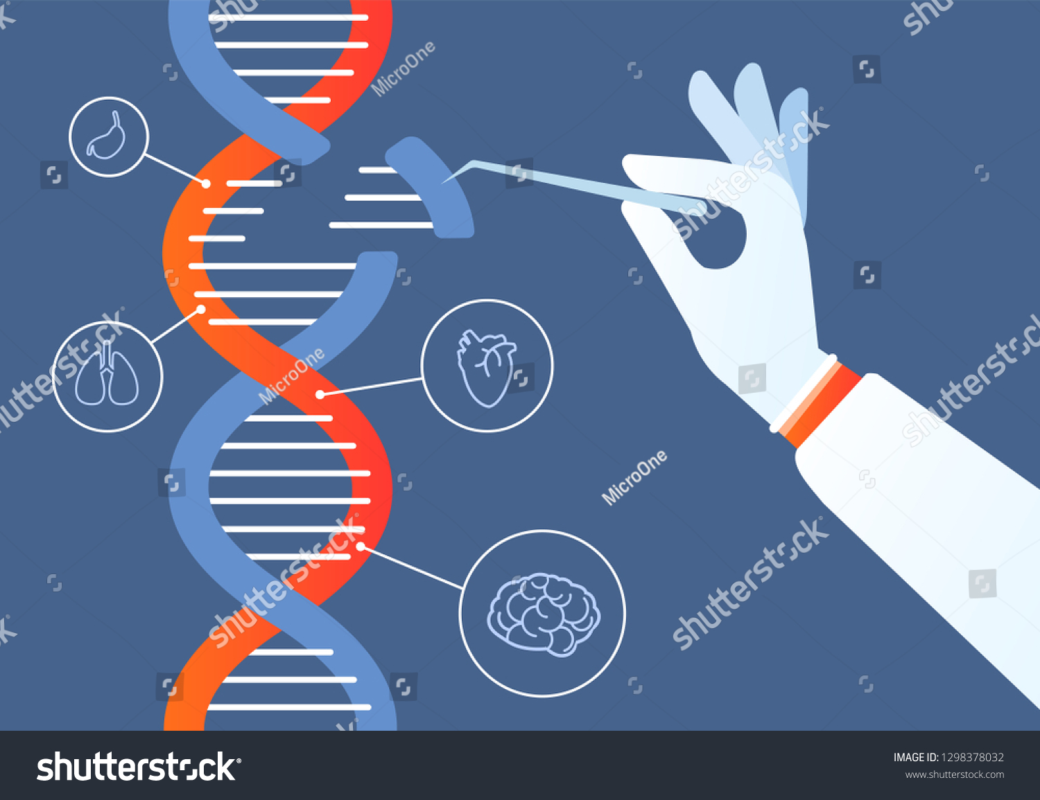 Dna Engineering Genome Crispr Cas9 Gene Stock Vector (Royalty Free ...