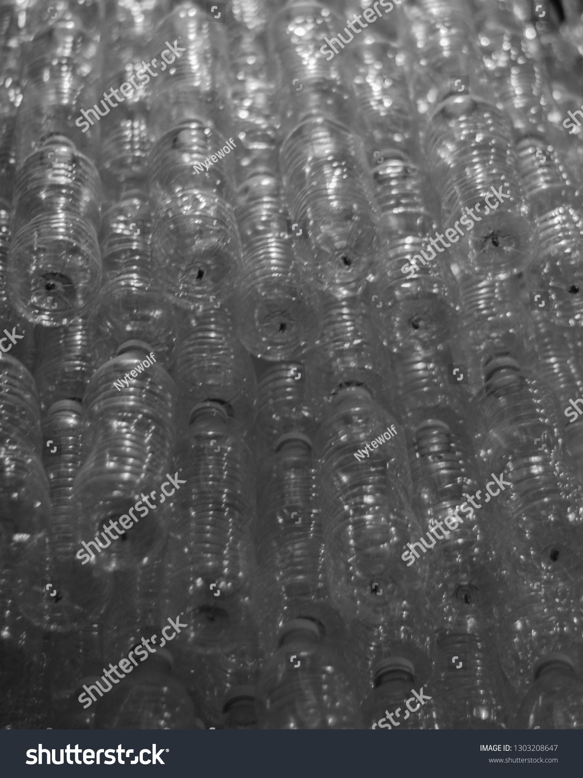 Bottle Art Black White Stock Photo 1303208647 | Shutterstock