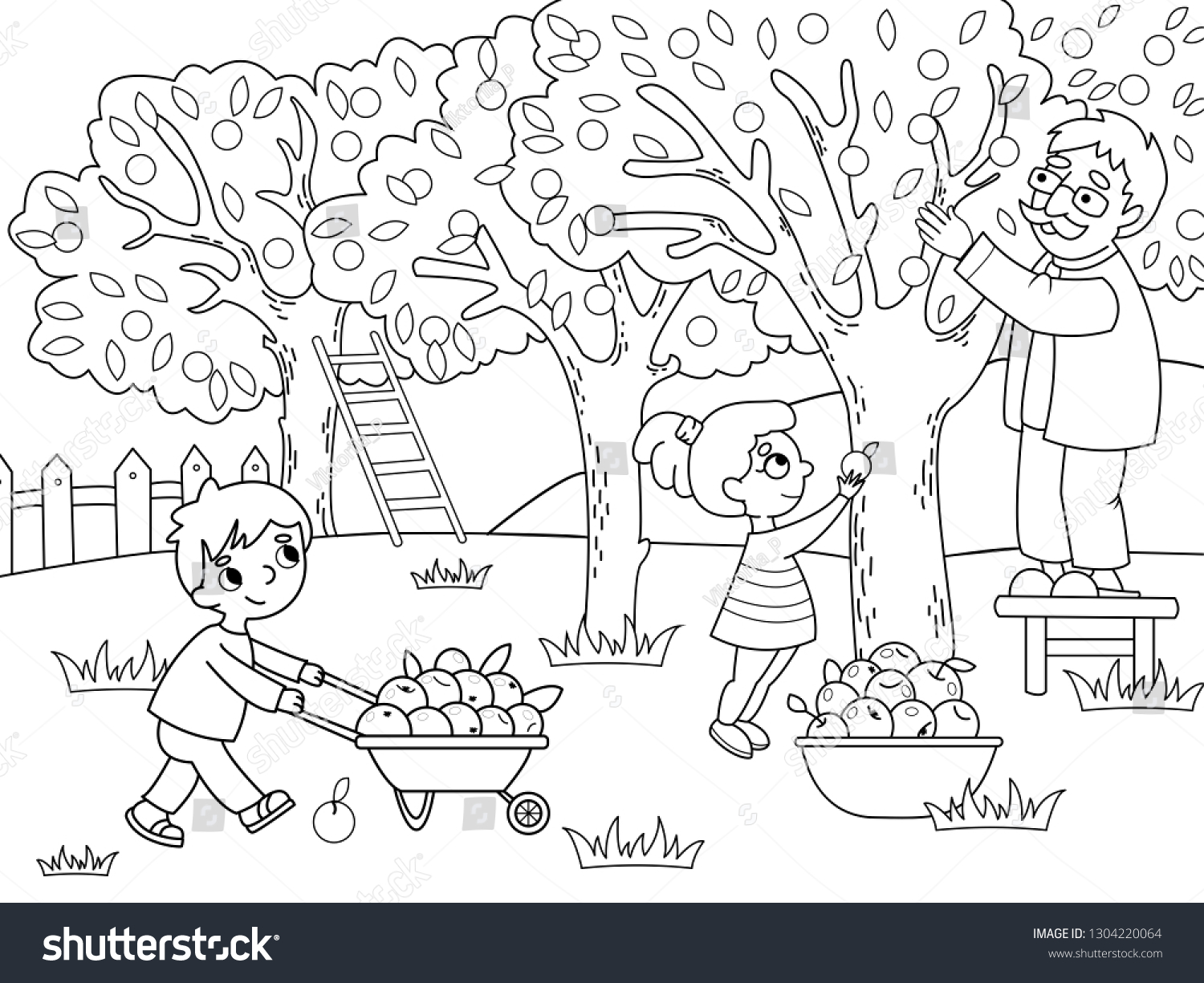 Раскраска сбор урожая в саду