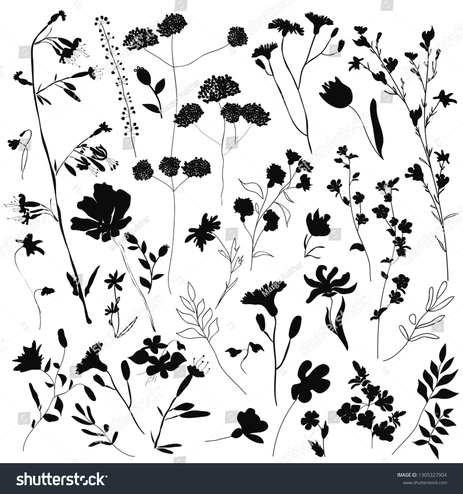 Big Set Silhouettes Botanic Blossom Floral Stock Vector (Royalty Free ...