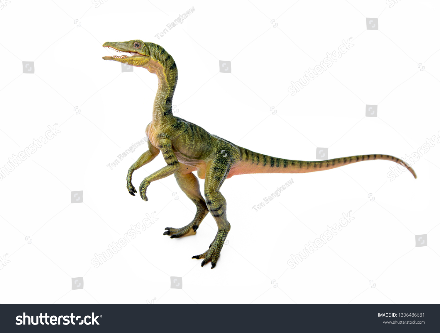 Compsognathus Compy Dinosaur Theropod Carnivorous Genus Stock Photo ...