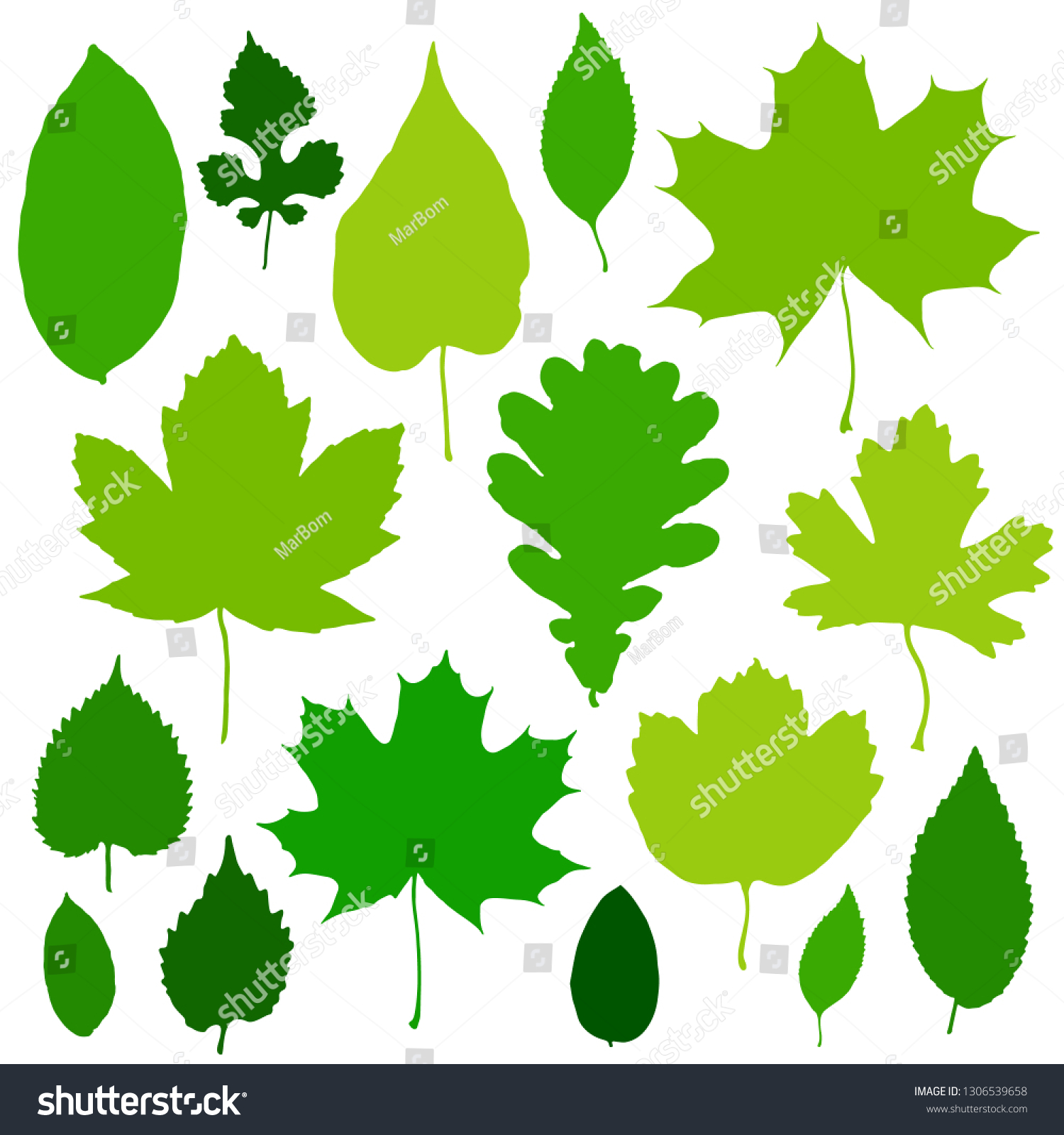 Green Leaves Set Isolated On White Stock Vector (Royalty Free ...