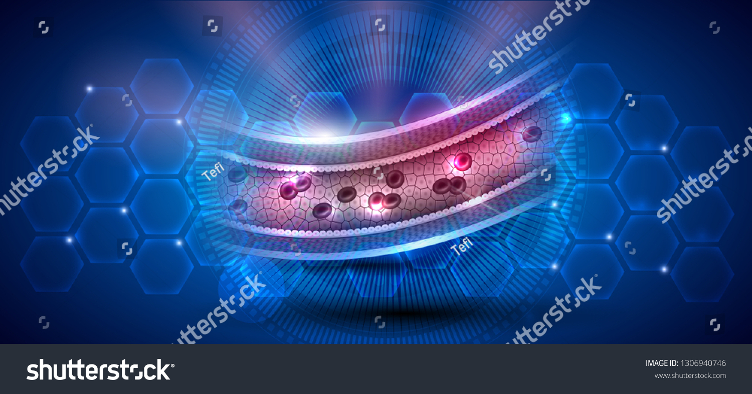 Healthy Artery Anatomy Blood Flow Artery Stock Vektorgrafik