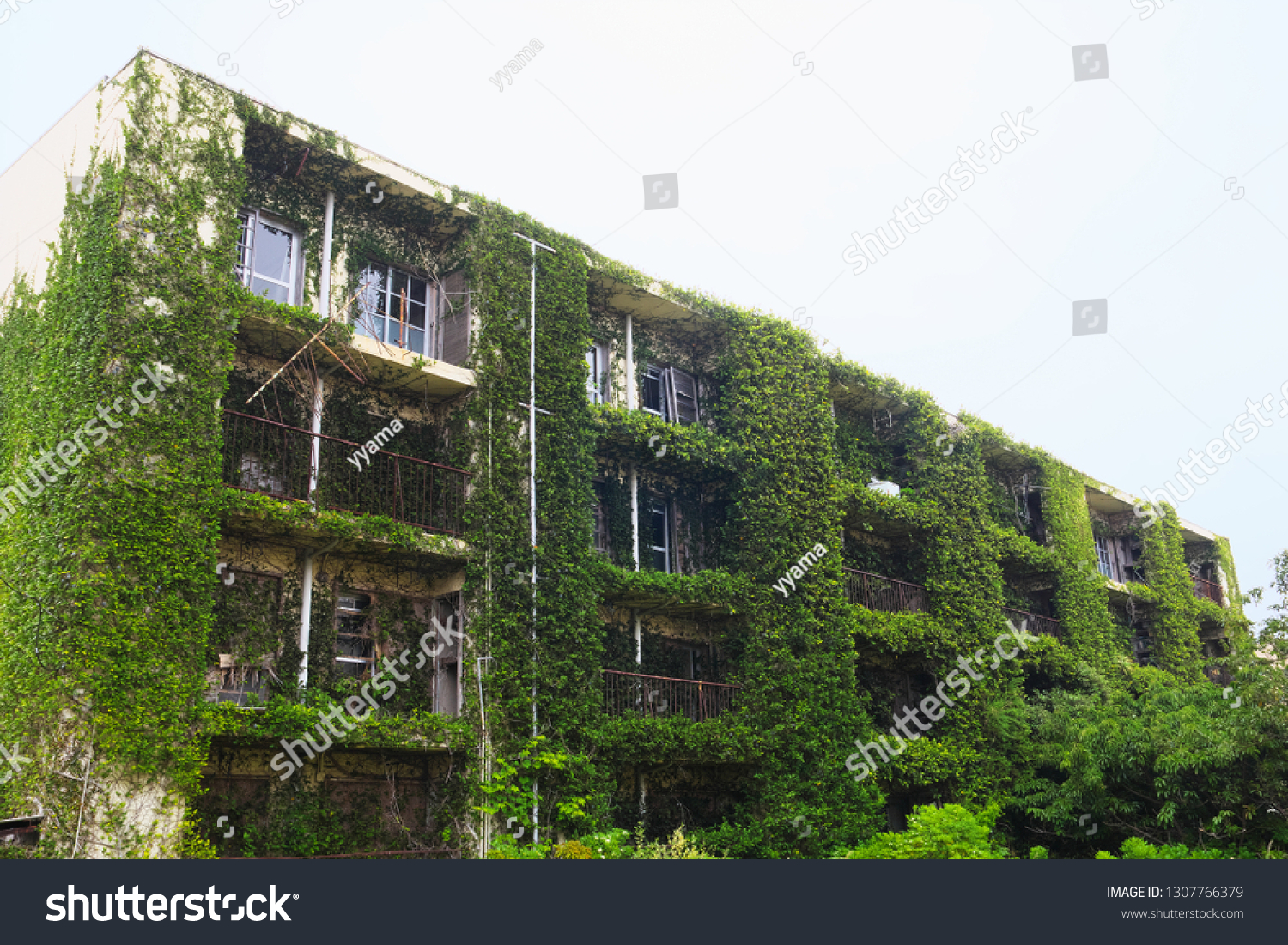 Ruined Apartment Building Ikeshima Nagasaki Japan Stock Photo ...