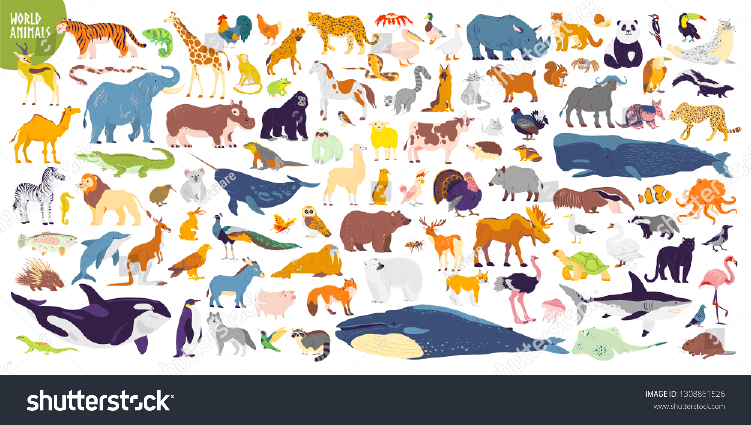 Big Vector Set Different World Wild Stock Vector (Royalty Free ...