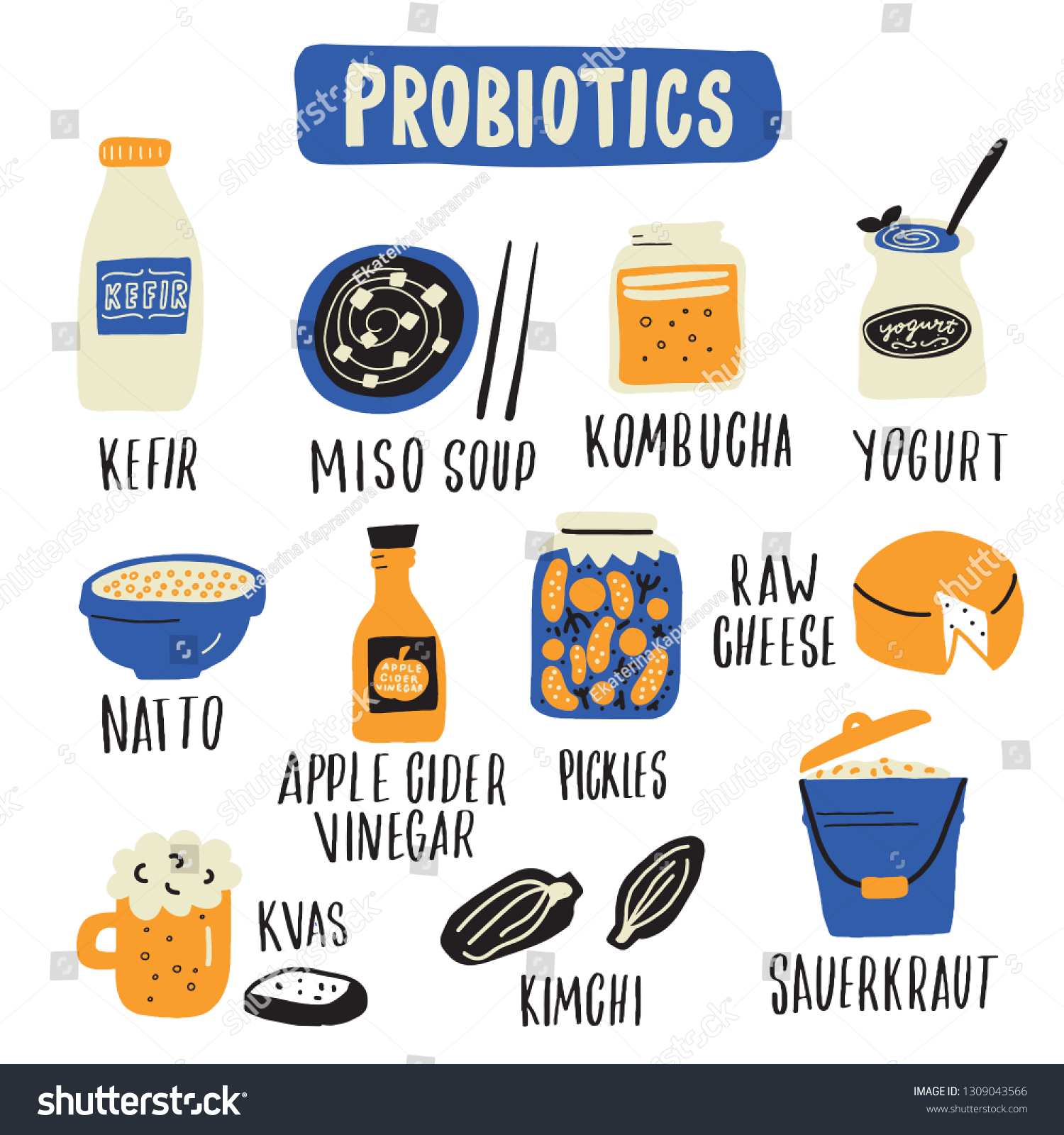 Probiotic Food Set Hand Drawn Illlustration Stock Vector (Royalty Free ...