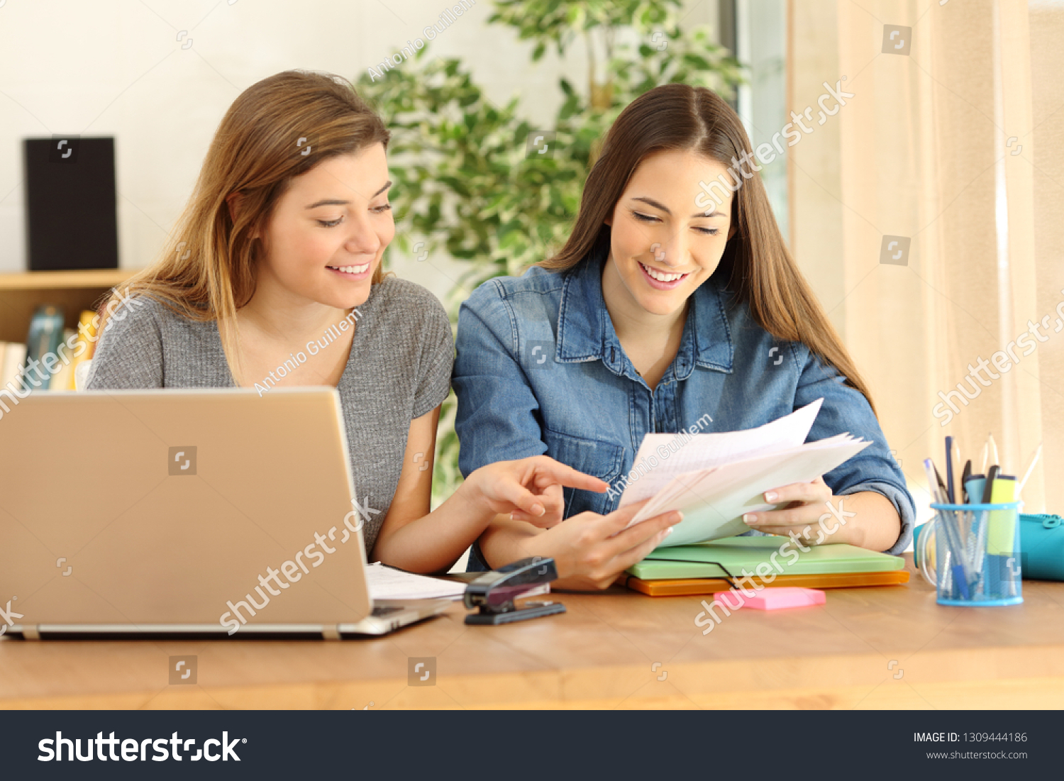 295 Sisters comparing Images, Stock Photos & Vectors | Shutterstock