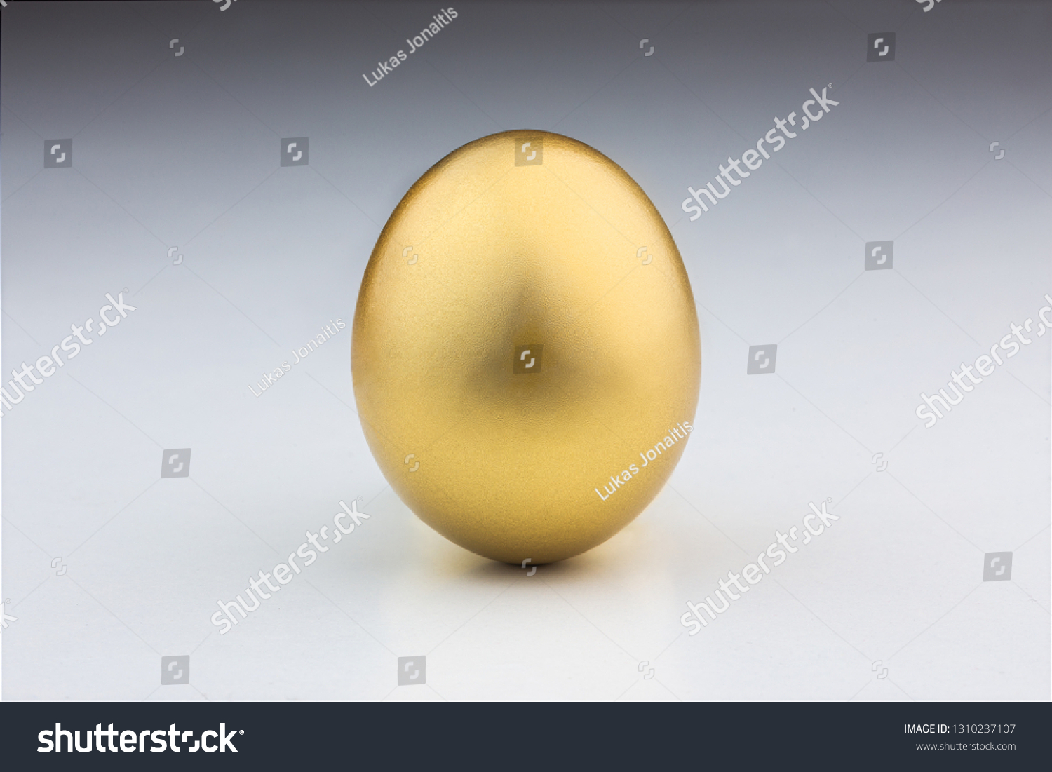 Golden Egg Isolated White Background Stock Photo 1310237107 | Shutterstock