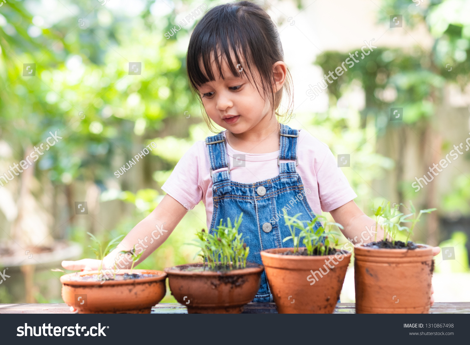 Adorable 3 Years Old Asian Little Stock Photo 1310867498 | Shutterstock