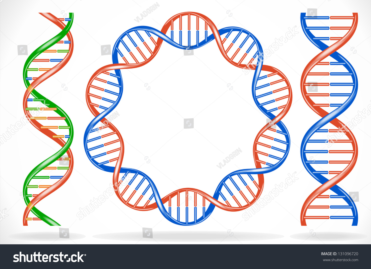 Нить ДНК вектор