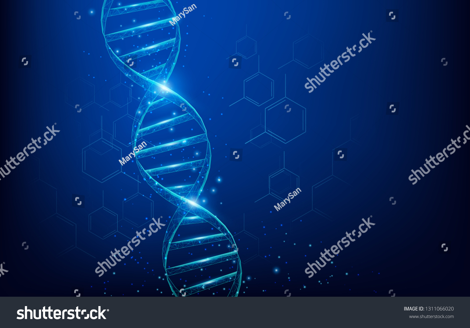 Wireframe Dna Molecules Structure Mesh Low Stock Vector (Royalty Free ...