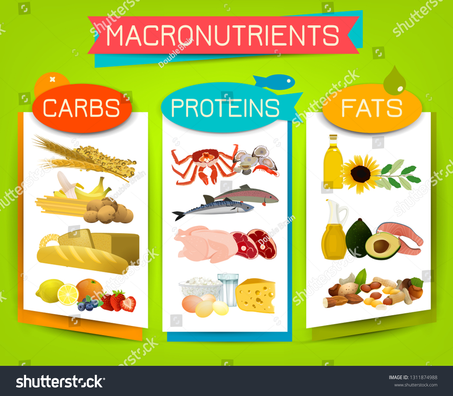 Main Food Groups Macronutrients Carbohydrates Fats Stock Vector 