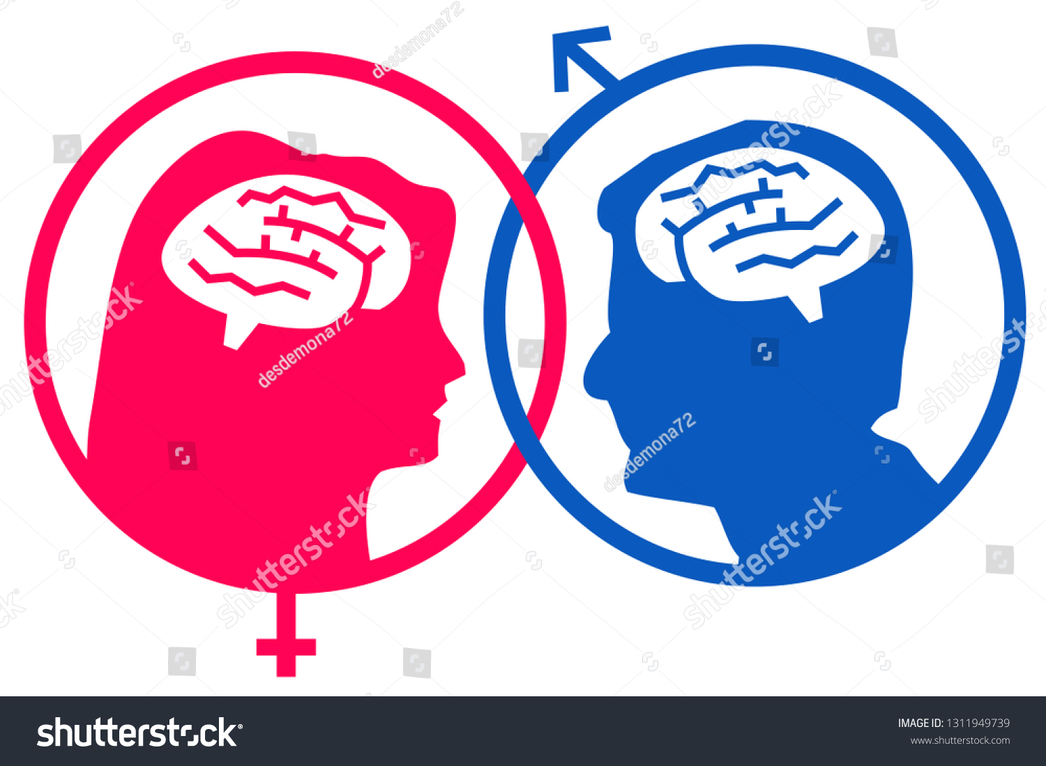 differences-between-two-genders-stock-illustration-1311949739