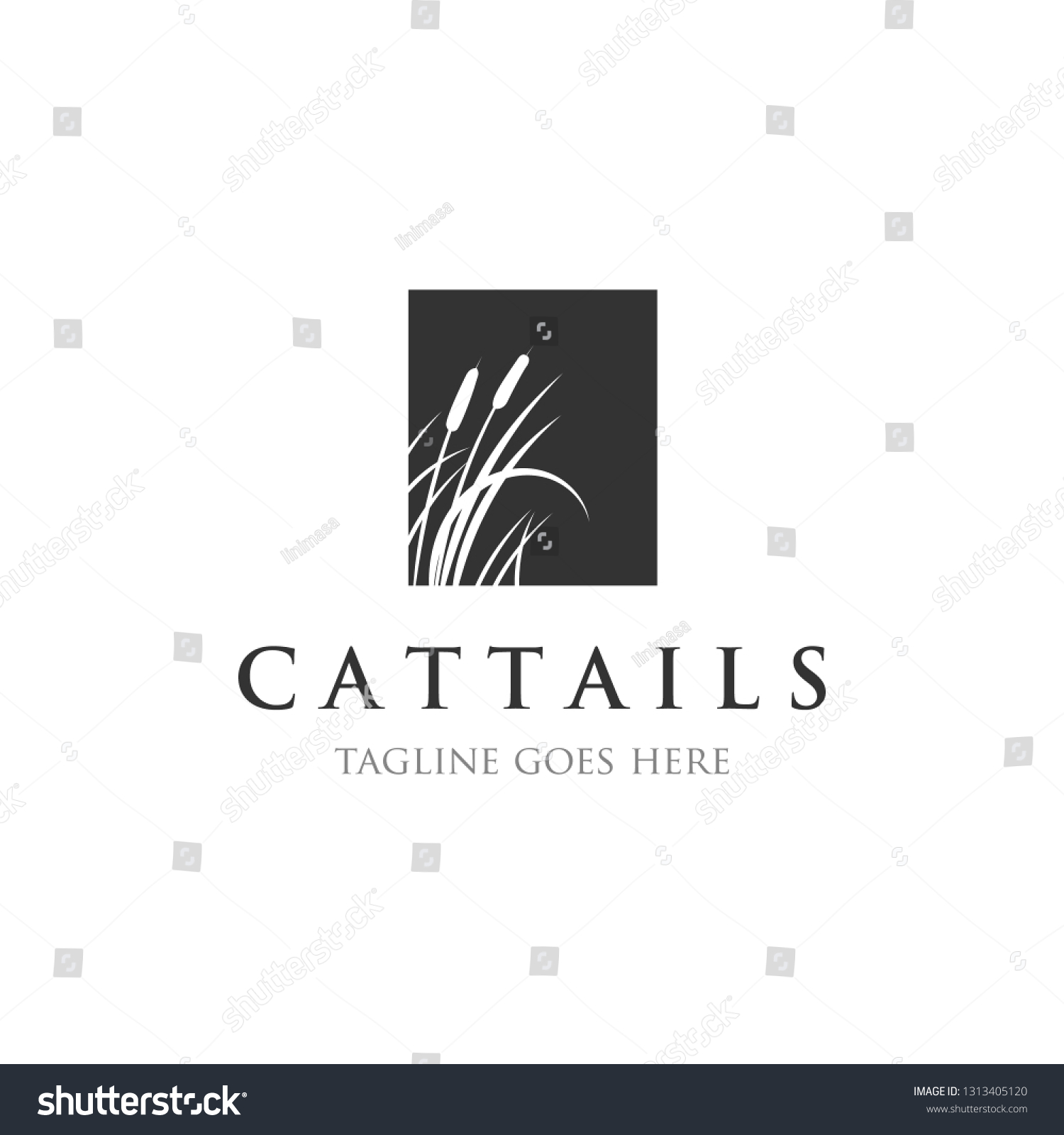 Cattails Reed Logo Designs Inspirations Stock Vector (Royalty Free ...