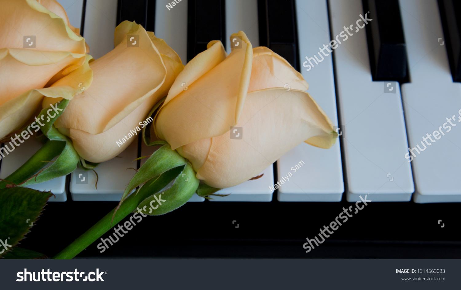 piano with rose black and white