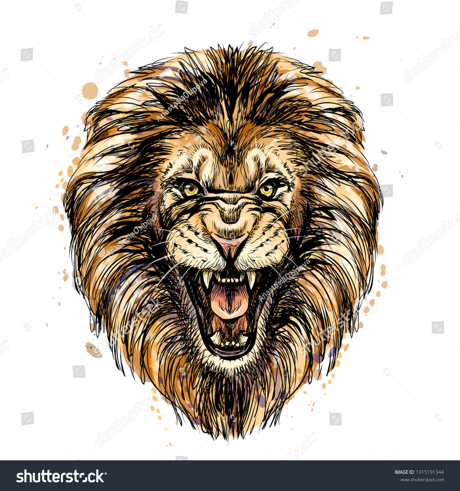 drawings of lions roaring in color