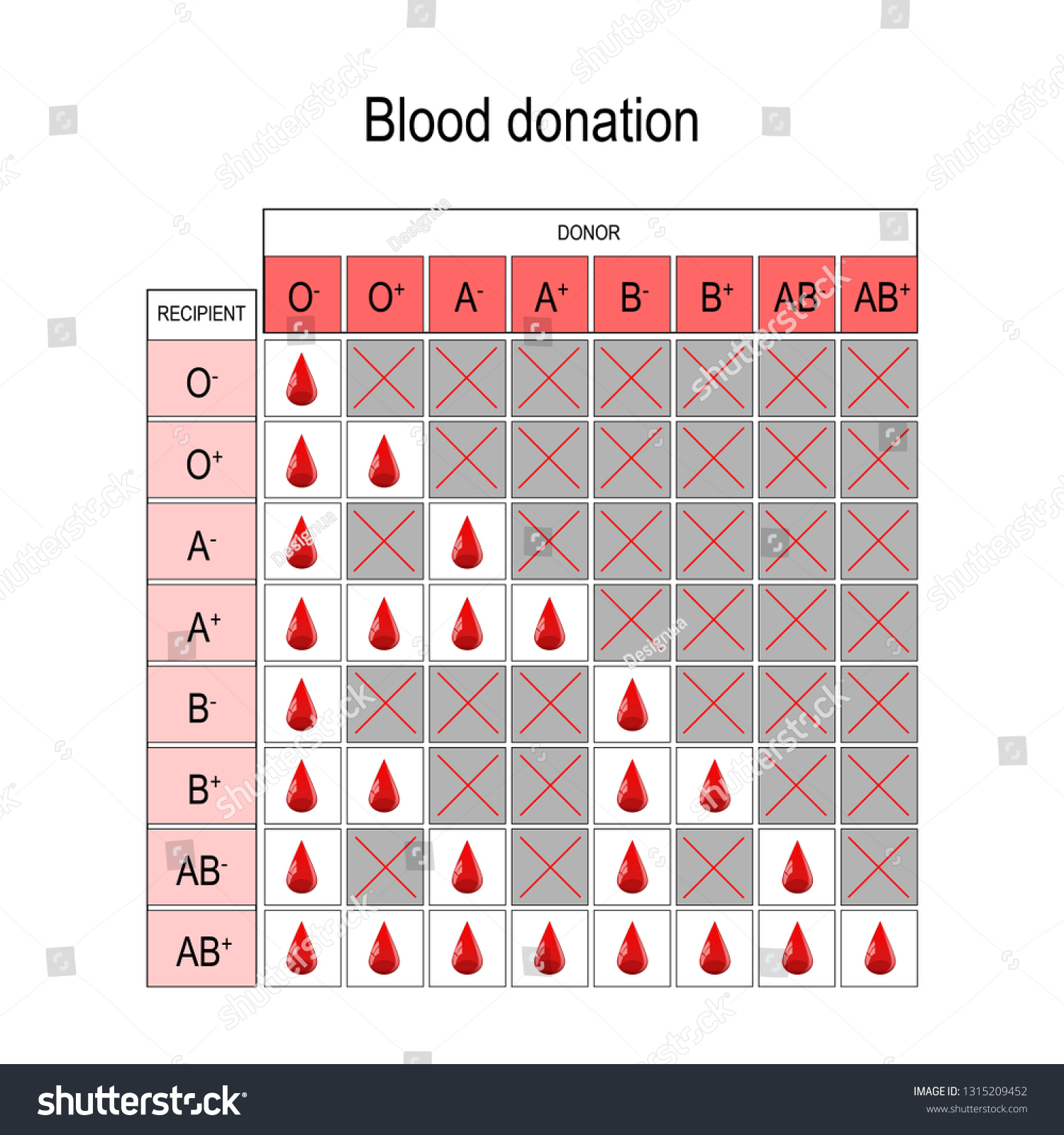 Blood Donation Chart Recipient Donor Types Stock Illustration ...