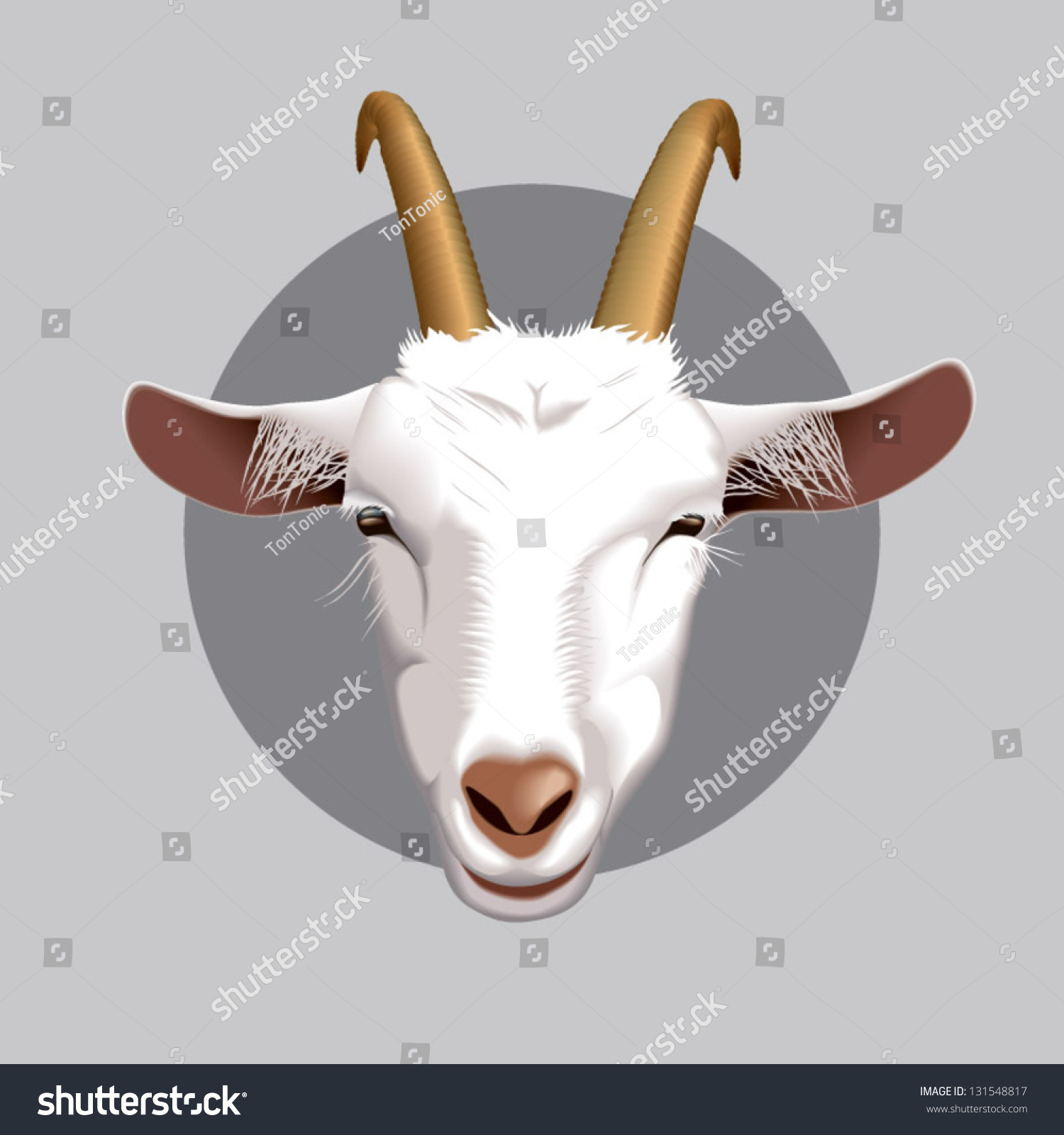 Vector Illustration Farm Animals Faces Goat Stock Vector (Royalty Free ...